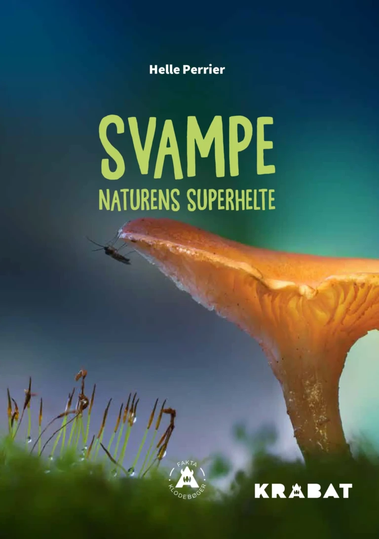 9788776381349-scaled