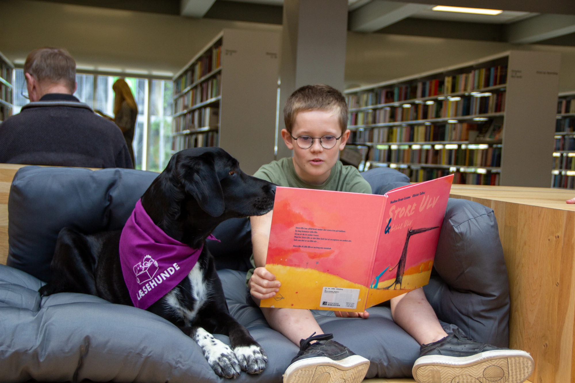 Læsehunde billede, hund og dreng