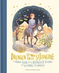 Forsiden til Drengen der ville tælle stjernerne